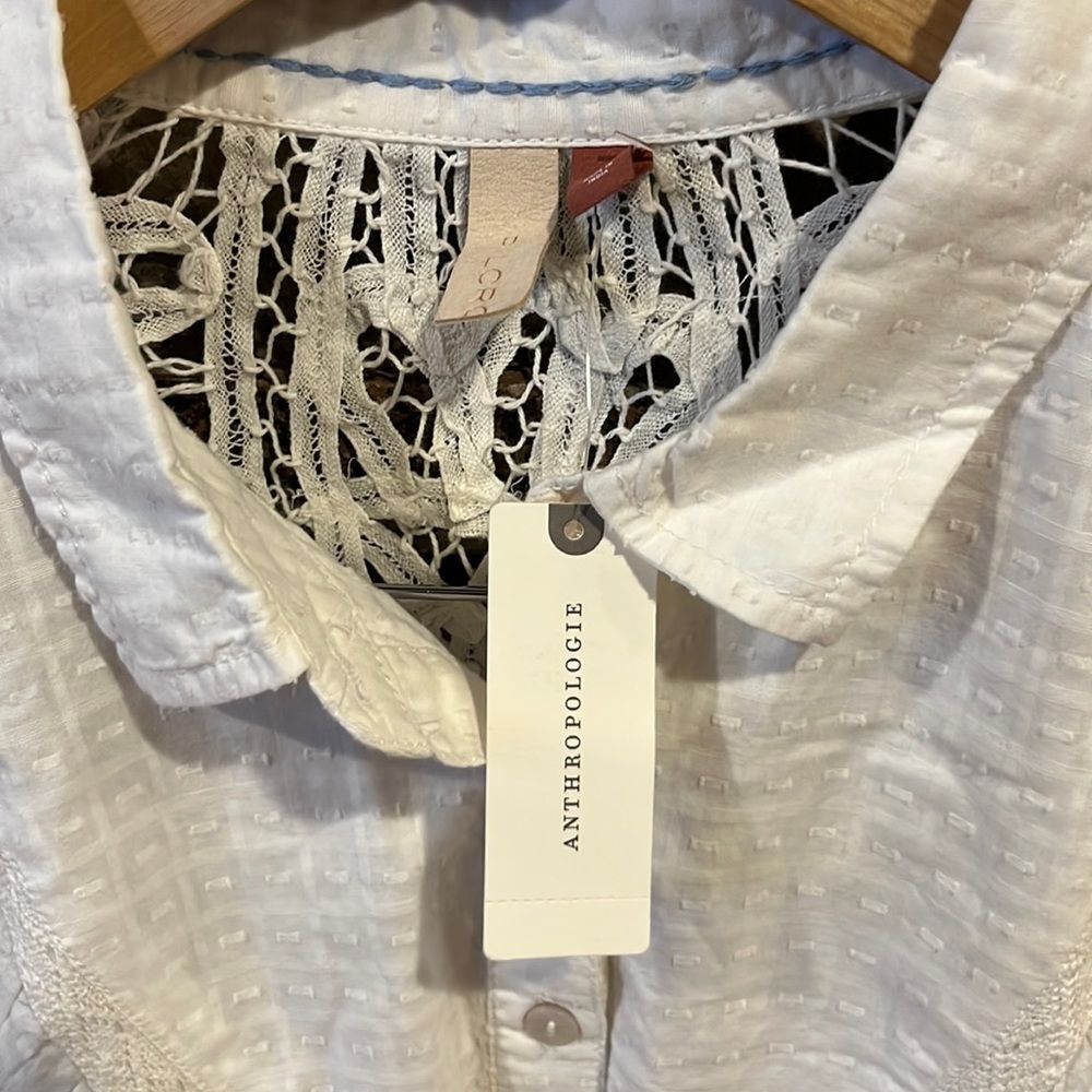 Anthropologie x Pilcro Swiss Dot and Lace Button Up Blouse - Picture 7 of 8